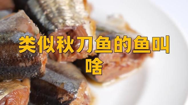 類似刀魚的魚有哪些,長得像刀魚但是不是刀魚 龍魚百科 第3張 類似刀魚的魚有哪些,長得像刀魚但是不是刀魚 類似刀魚的魚有哪些,長得像刀魚但是不是刀魚 龍魚百科 第3張