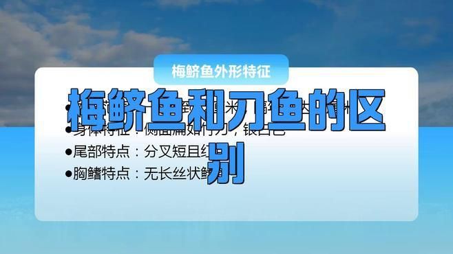 類似刀魚的魚有哪些,長得像刀魚但是不是刀魚 龍魚百科 第2張 類似刀魚的魚有哪些,長得像刀魚但是不是刀魚 類似刀魚的魚有哪些,長得像刀魚但是不是刀魚 龍魚百科 第2張