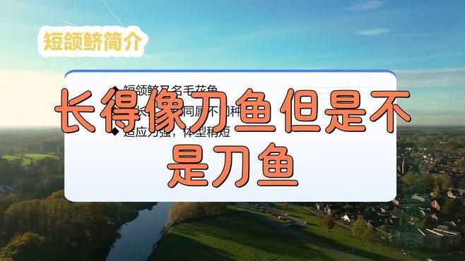 類似刀魚的魚有哪些,長得像刀魚但是不是刀魚 龍魚百科 第1張 類似刀魚的魚有哪些,長得像刀魚但是不是刀魚 類似刀魚的魚有哪些,長得像刀魚但是不是刀魚 龍魚百科 第1張