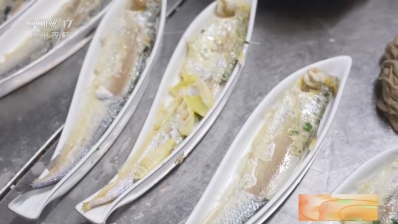 刀魚現在能人工養殖嗎，刀魚人工養殖技術取得顯著進展，