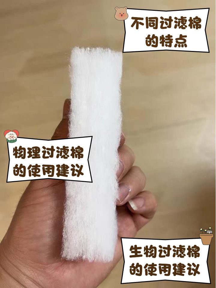 十大公認最好的過濾棉，十大公認最佳過濾棉深度測評2,魔水族世界的秘密