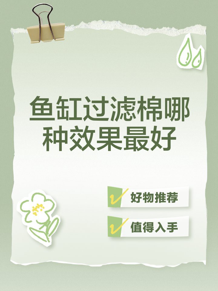 十大公認最好的過濾棉，十大公認最佳過濾棉深度測評2,魔水族世界的秘密