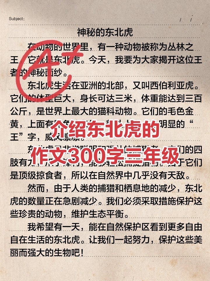 三紋虎屬于什么檔次，\