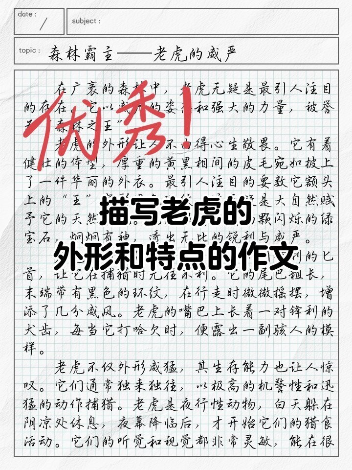 三紋虎屬于什么檔次，\