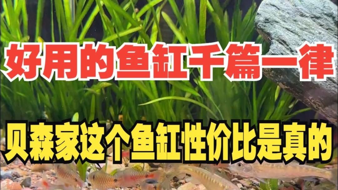 口碑最好的魚缸，《口碑最好的魚缸》口碑最好的魚缸品牌十大排名旭日東升