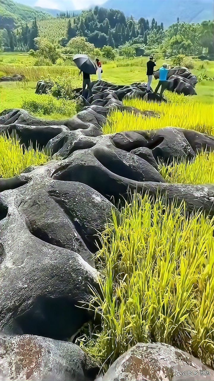 推薦一些著名的風水龍圖片，中國風水墨龍設計素材