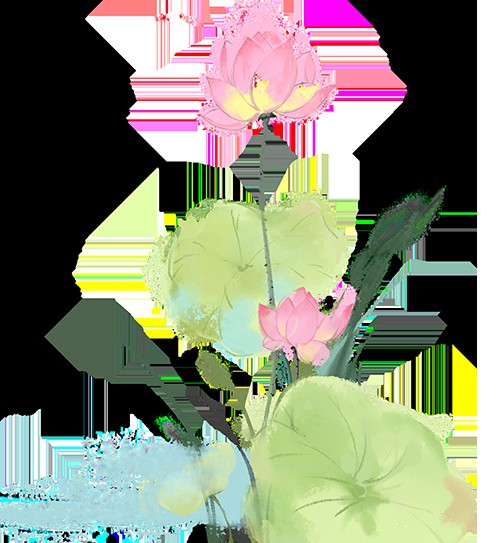 如何區分真假50元龍魚？，如何區分真假50元人民幣