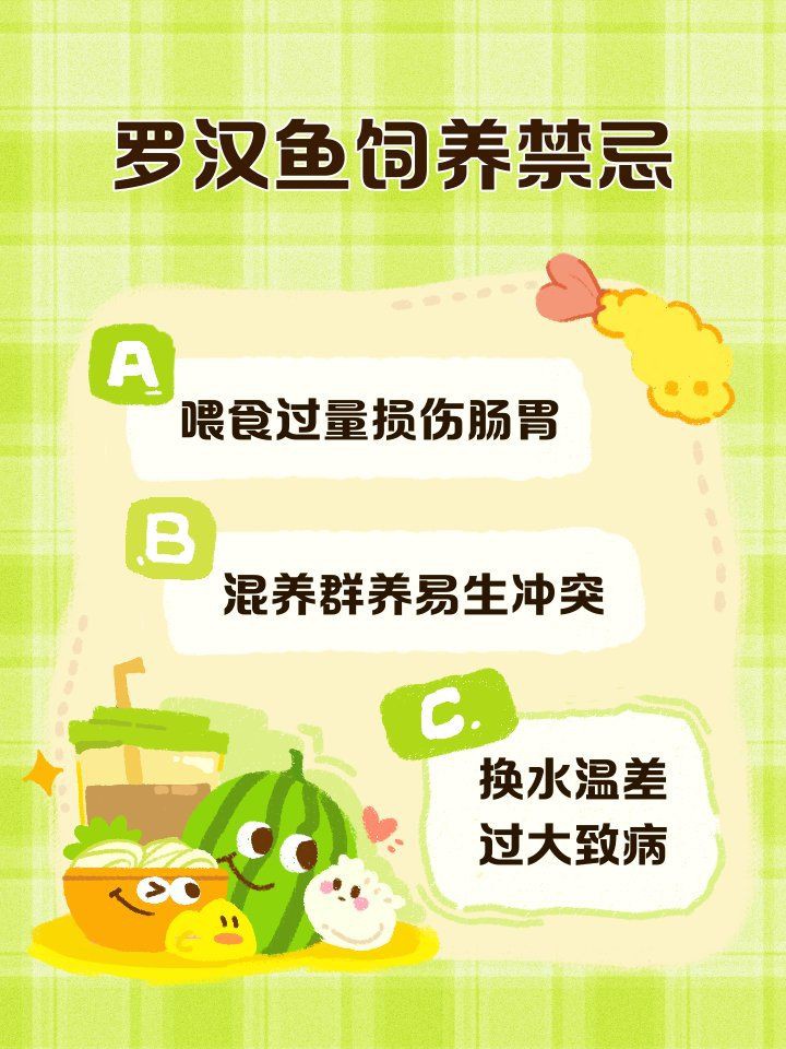 羅漢魚最忌諱三個(gè)地方，《羅漢魚最忌諱三個(gè)地方》聚焦于羅漢魚養(yǎng)護(hù)中的關(guān)鍵區(qū)域