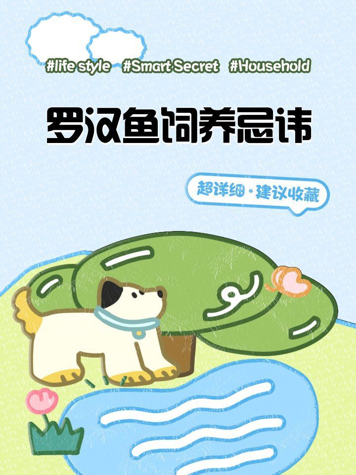 羅漢魚最忌諱三個(gè)地方，《羅漢魚最忌諱三個(gè)地方》聚焦于羅漢魚養(yǎng)護(hù)中的關(guān)鍵區(qū)域