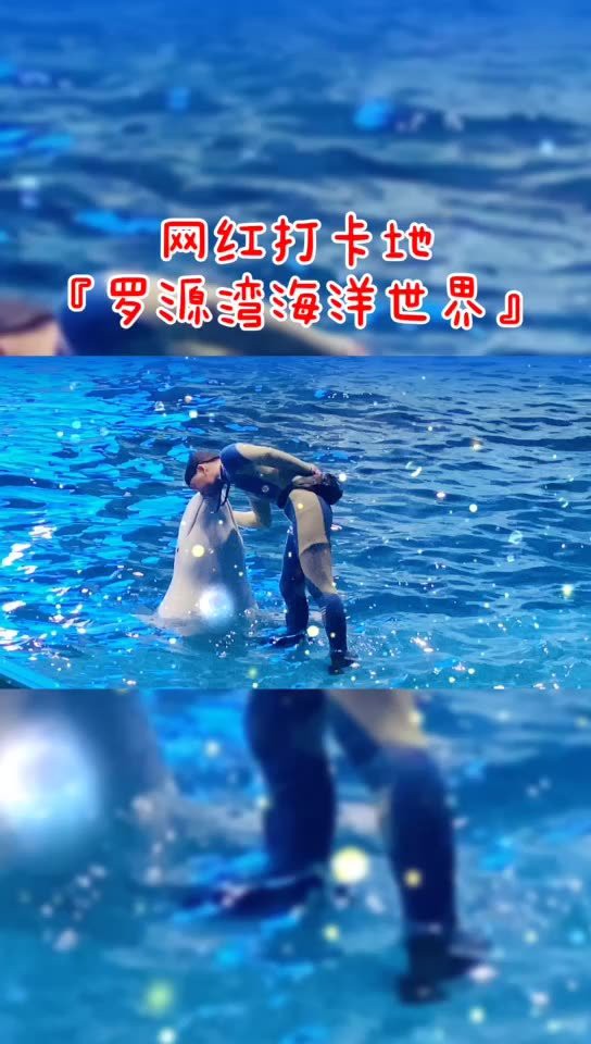 羅源水族店，福州羅源灣海洋世界怎么樣