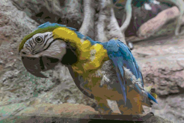 羅源水族店，福州羅源灣海洋世界怎么樣
