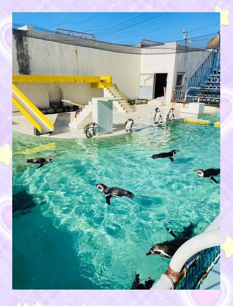 羅源水族店，福州羅源灣海洋世界怎么樣