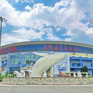 羅源水族店，福州羅源灣海洋世界怎么樣