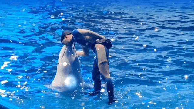 羅源水族店，福州羅源灣海洋世界怎么樣