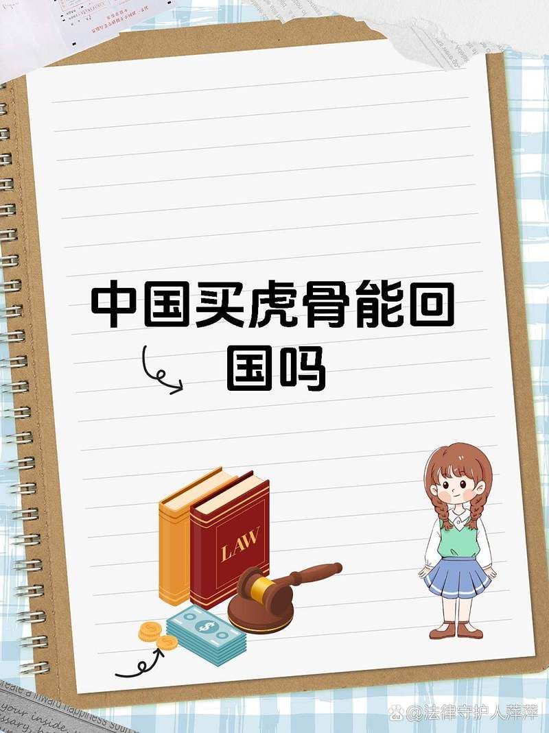 緬甸有老虎骨頭怎么賣，山西晚報,緬甸野生動物交易揭秘,低廉價格吸引食客品嘗微光拾趣