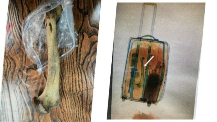 緬甸有老虎骨頭怎么賣，山西晚報(bào),緬甸野生動(dòng)物交易揭秘,低廉價(jià)格吸引食客品嘗微光拾趣