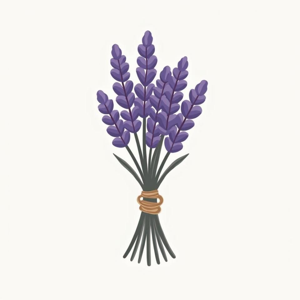 紅頭利魚為何要少吃，《紅頭利魚為何要少吃》