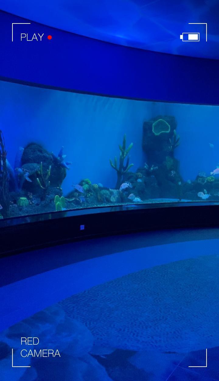 永泰水族店，廣州永泰歐樂堡水族館