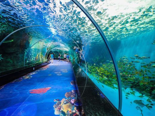 永泰水族店，廣州永泰歐樂堡水族館