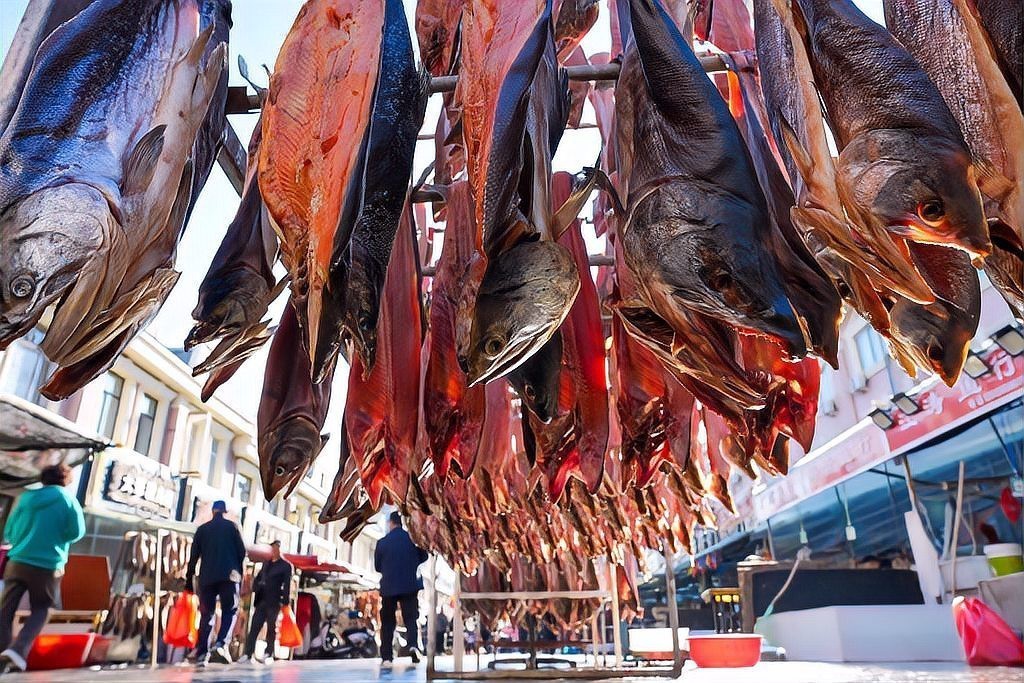 漠河龍魚店，官網迎旅發游龍江|“魚”你相約“莓”好未來