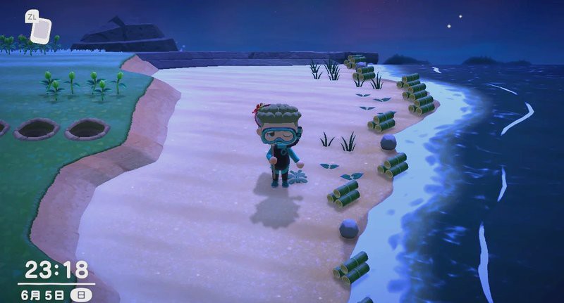 動森蝎子可以干嘛，《動森經濟學友會》蝎子捕捉技巧