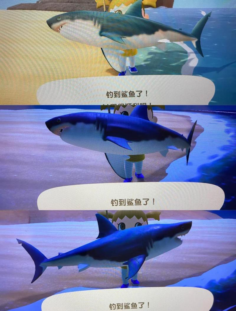 動森蝎子可以干嘛，《動森經濟學友會》蝎子捕捉技巧