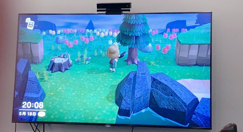 動森蝎子可以干嘛，《動森經濟學友會》蝎子捕捉技巧