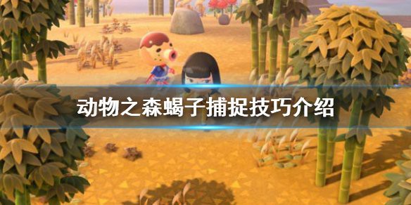 動森蝎子可以干嘛，《動森經濟學友會》蝎子捕捉技巧