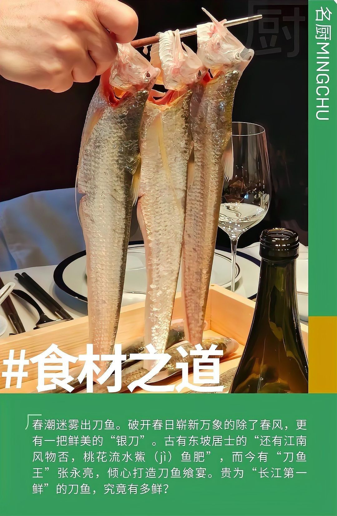 刀魚有哪些品種和圖片，刀魚是一類體型狹長側(cè)薄、形似尖刀的洄游性魚類魚類