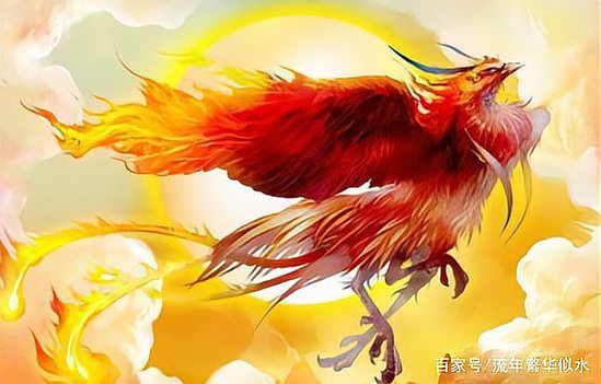 鳳凰的壽命有多長，鳳凰的壽命在不同文化語境下存在差異