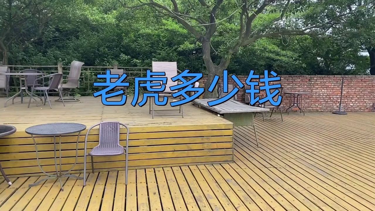 老虎多錢一只？，《老虎多錢一只》聚焦于老虎這一珍稀動物市場價值探討