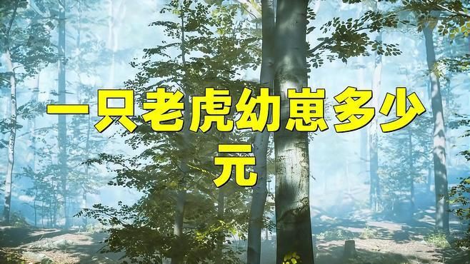 老虎多錢一只？，《老虎多錢一只》聚焦于老虎這一珍稀動物市場價值探討