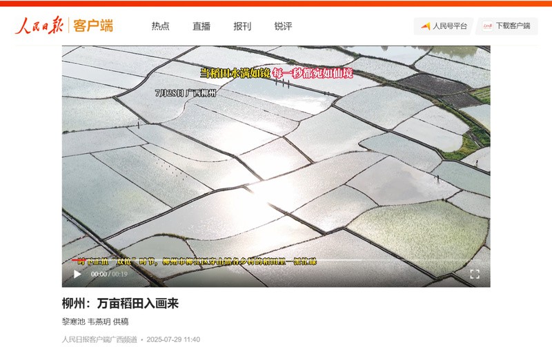 柳江龍魚店，廣西柳江區(qū)產(chǎn)業(yè)一線丨一條錦鯉賣了37萬