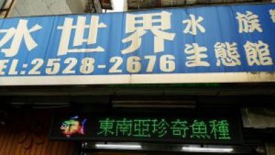 松山水族店，松山水族店哪個營業時間最長