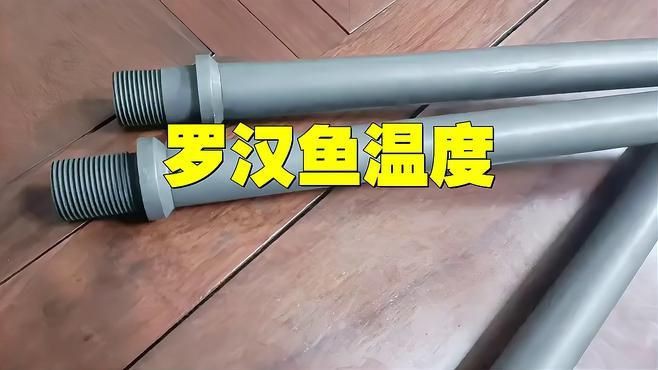 羅漢魚20度能活嗎，羅漢魚水溫多少度最佳不可低于多少度