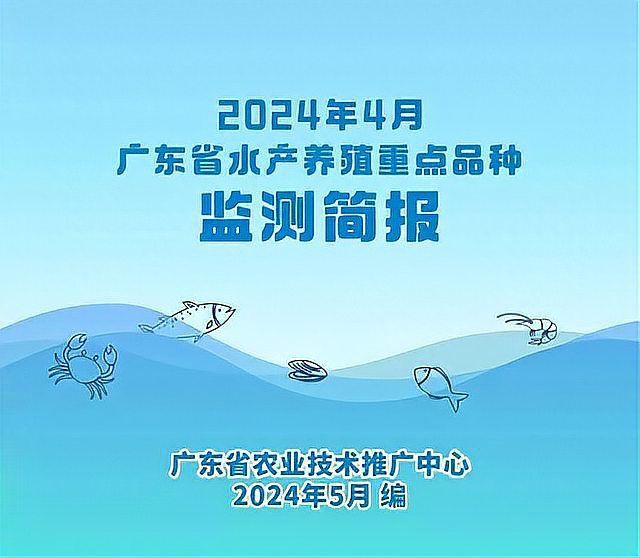 羅漢魚2024最新價格走勢，2024年羅漢魚價格呈現多樣化趨勢