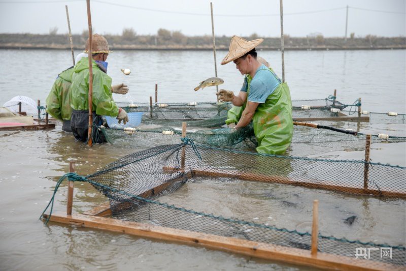 漳浦龍魚店，漳浦縣龍清水產(chǎn)品店