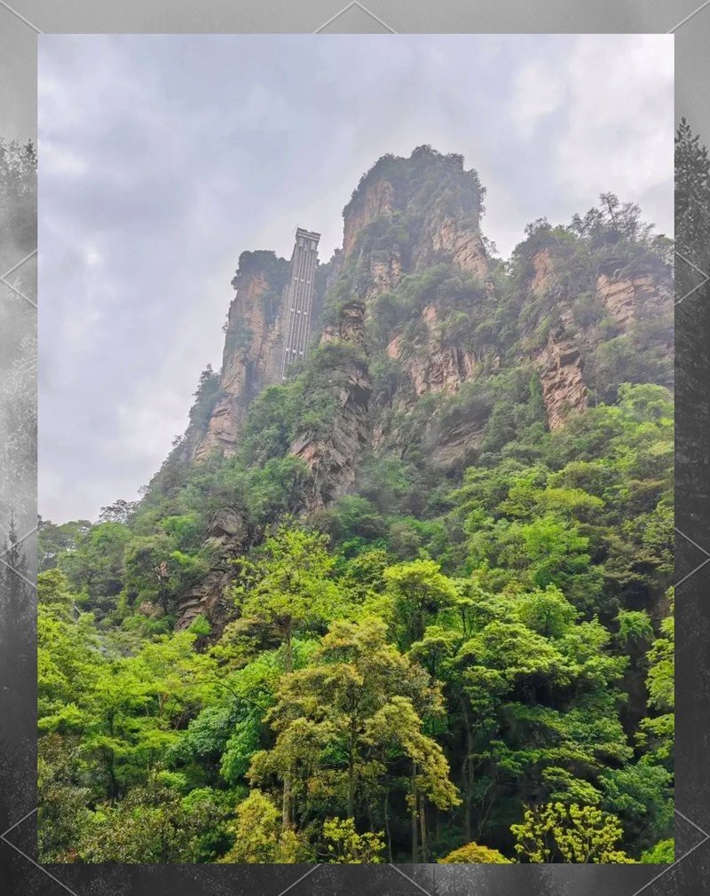 武陵源龍魚店，張家界武陵源龍魚店