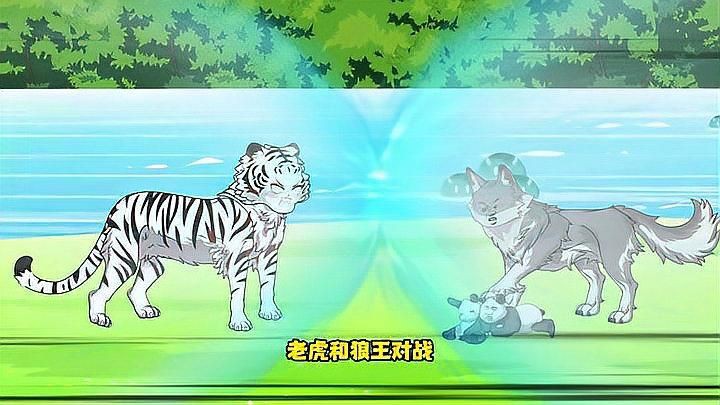 老虎vs狼王，老虎與狼王的對決