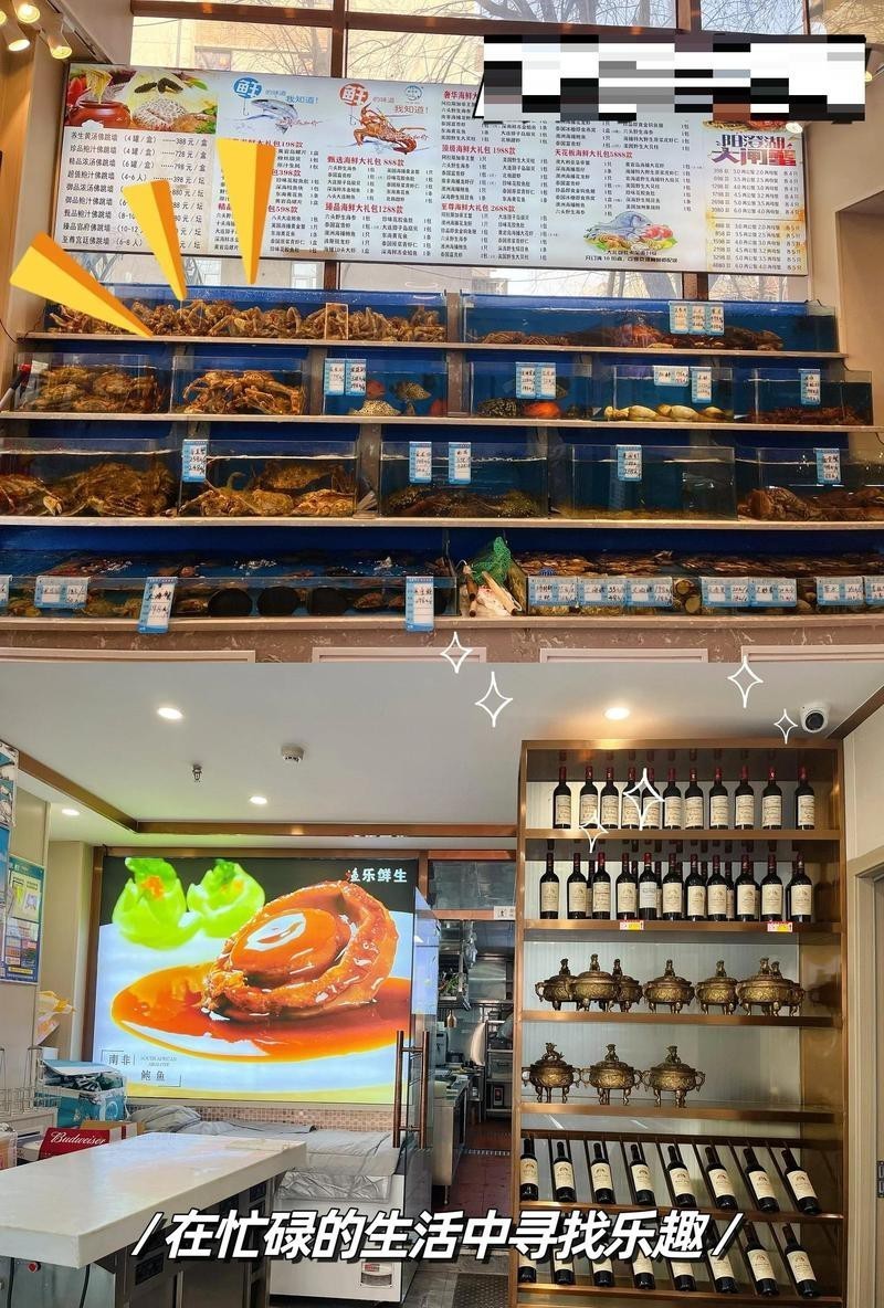 河西龍魚店，河西地區龍魚店鋪 河西龍魚店，河西地區龍魚店鋪 全國水族館企業名錄 第7張