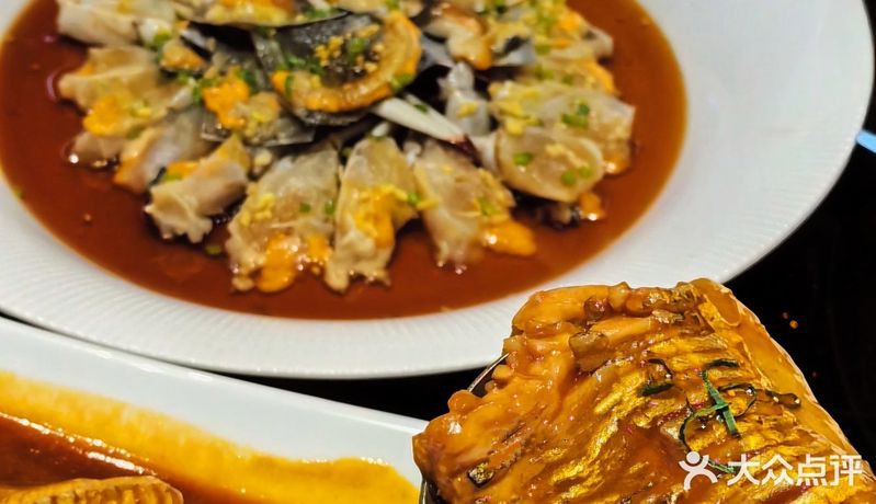 河西龍魚店，河西地區龍魚店鋪 河西龍魚店，河西地區龍魚店鋪 全國水族館企業名錄 第5張