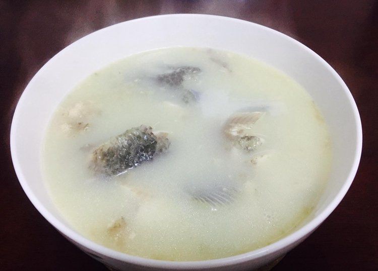 老年人吃黑魚好不好，副主任醫師三甲,吃黑魚有什么功效 老年人吃黑魚好不好，副主任醫師三甲,吃黑魚有什么功效 龍魚百科 第5張