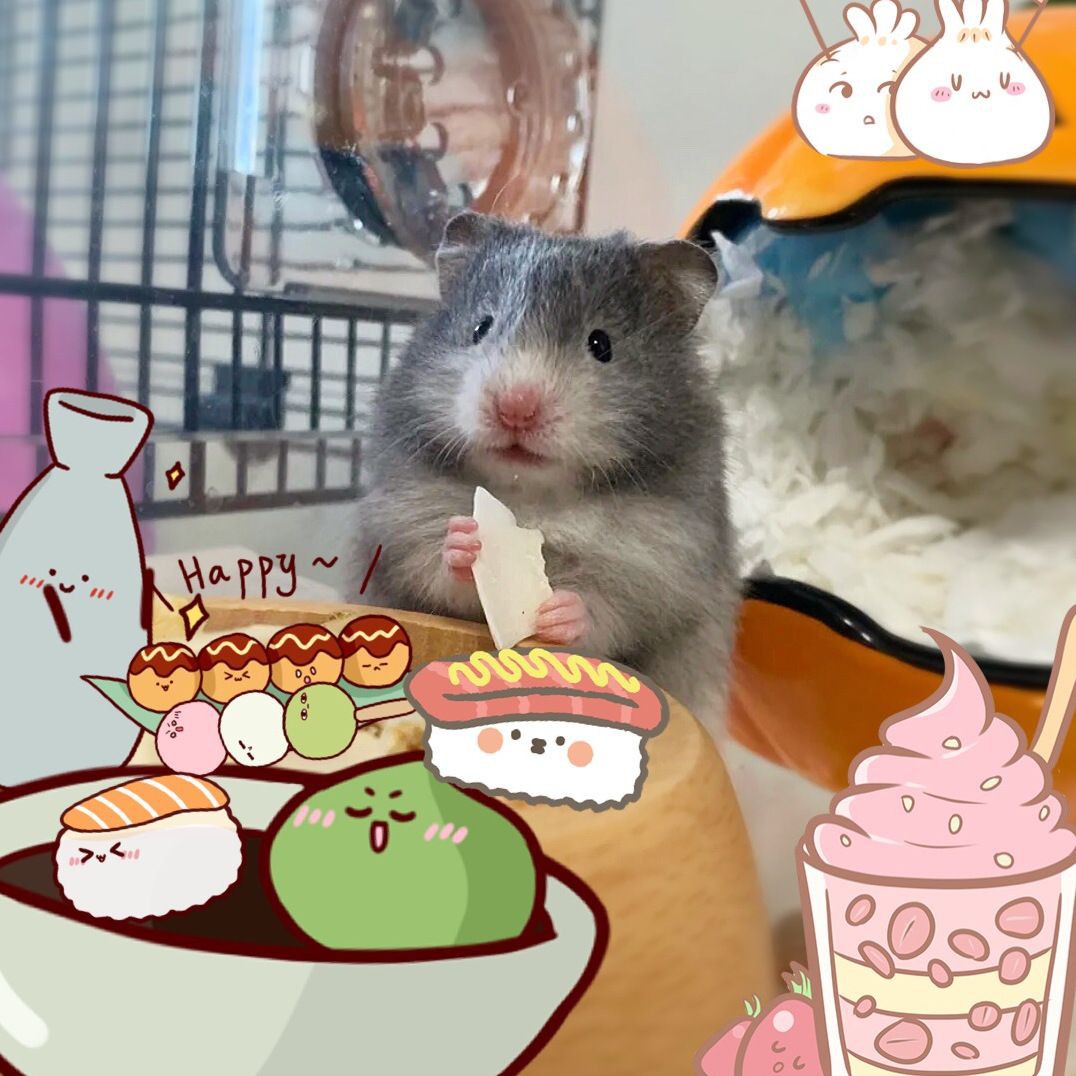 家常魚的做法，六道經(jīng)典家常魚料理大全：紅燒魚塊（草魚版草魚版）