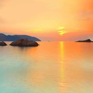 家常魚的做法，六道經(jīng)典家常魚料理大全：紅燒魚塊（草魚版草魚版）