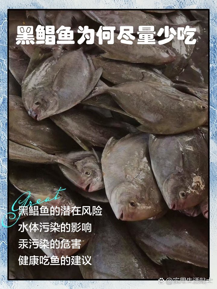 刀鯧魚盡量少吃的原因，刀鯧魚為什么不能吃實用生活日常飲食應盡量少吃刀鯧魚