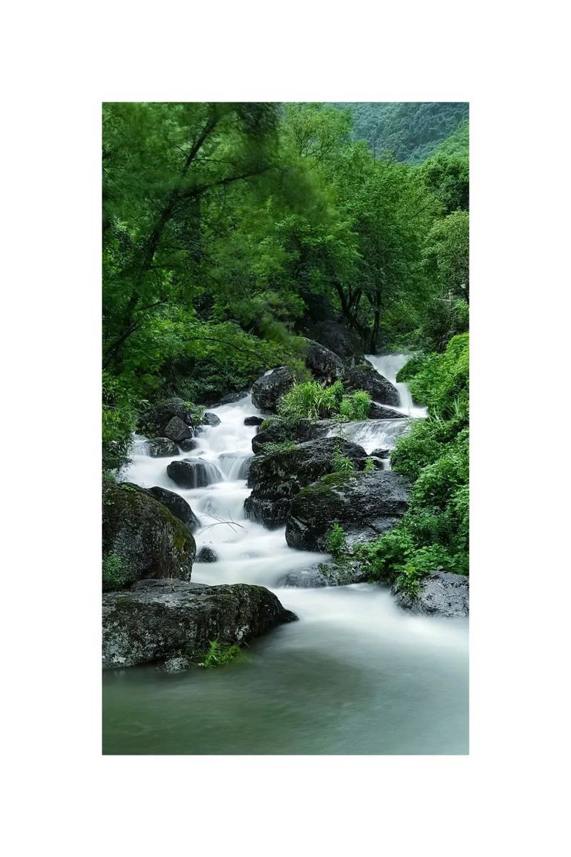 佛教對(duì)水的禪語(yǔ)，佛教中的“水”