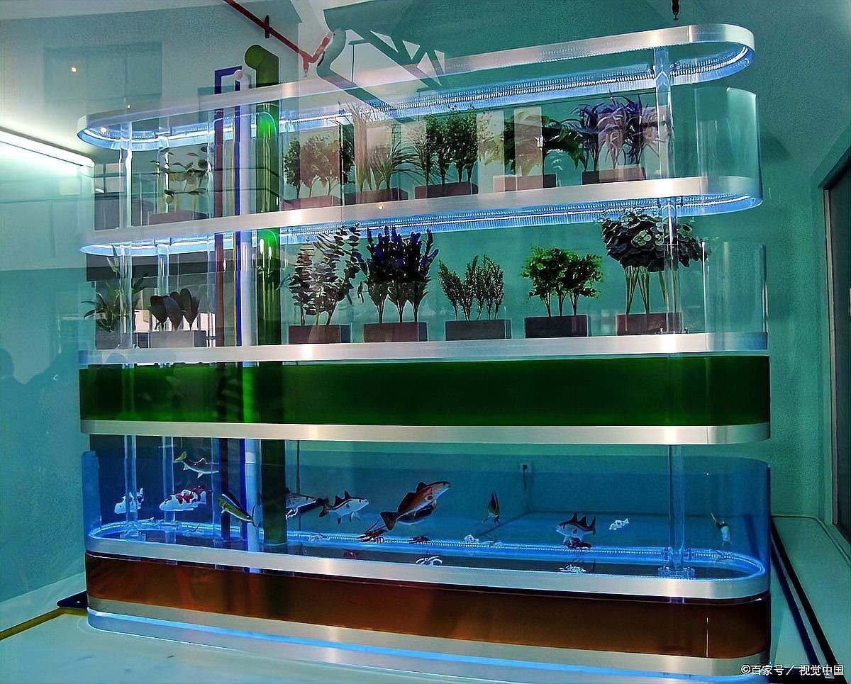 十大名牌水族用品排名，十大名牌水族用品牌