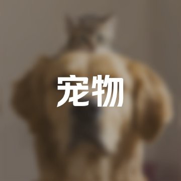 清浦水族店，森森水族魚缸觀賞魚專賣店哪家最好