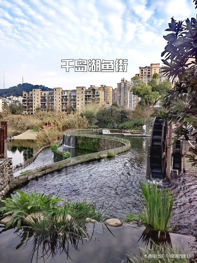 淳安水族店，浙江淳安縣吉印水族店 淳安水族店，浙江淳安縣吉印水族店 全國(guó)水族館企業(yè)名錄 第2張