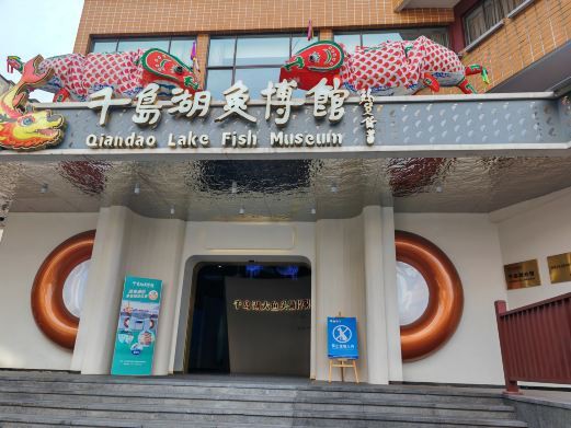淳安水族店，浙江淳安縣吉印水族店 淳安水族店，浙江淳安縣吉印水族店 全國(guó)水族館企業(yè)名錄 第4張